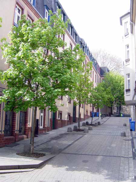 Martin rue St  2004 04 001