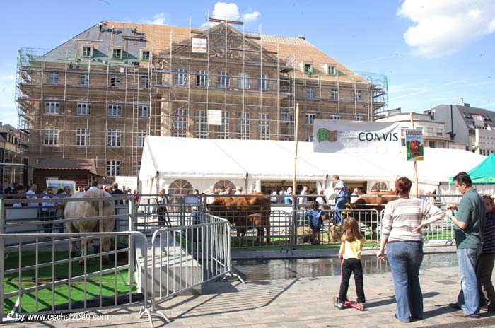 fetedelaviande20070915035