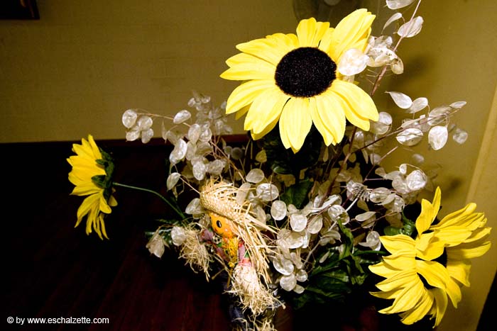 eschersenioren06boudin20070831018