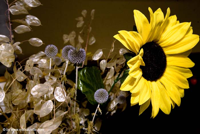 eschersenioren06boudin20070831020