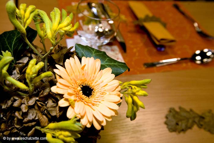 eschersenioren06boudin20070831022