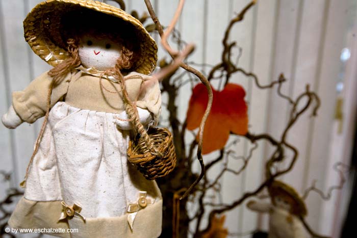 eschersenioren06boudin20070831025