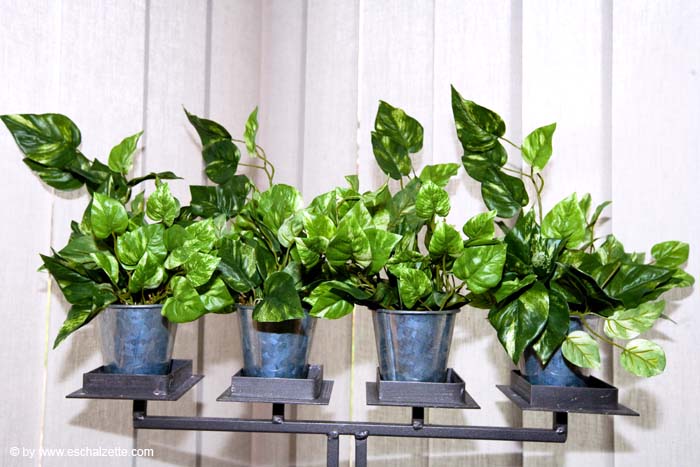 eschersenioren06boudin20070831027