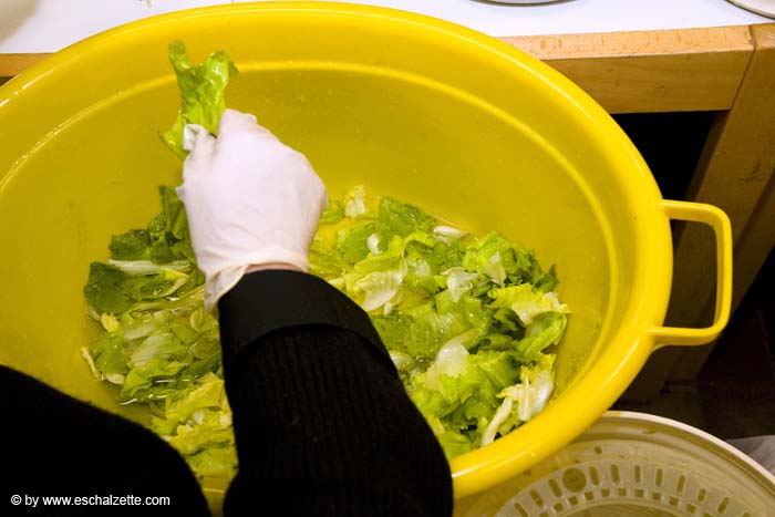 eschersenioren06boudin20070831052