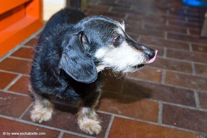eschersenioren06boudin20070831107