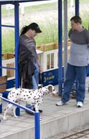 20080525eisenbunnlankelzcfl089