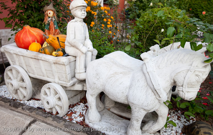 20091003_interesseverain_citeverte_30ans_043