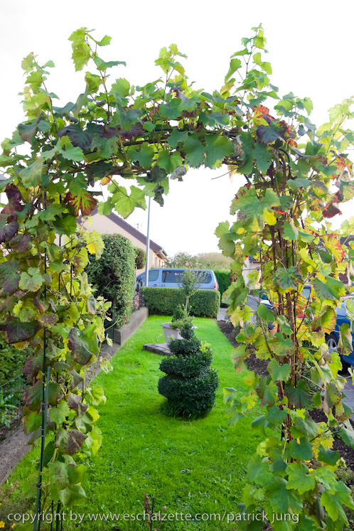 20091003_interesseverain_citeverte_30ans_052