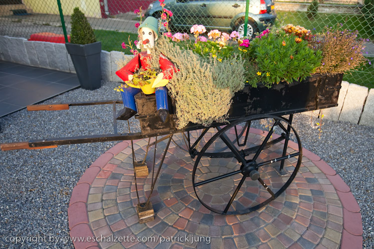 20091003_interesseverain_citeverte_30ans_059