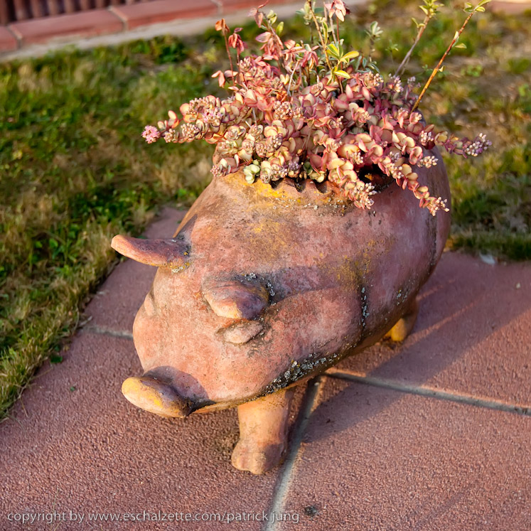 20091003_interesseverain_citeverte_30ans_064