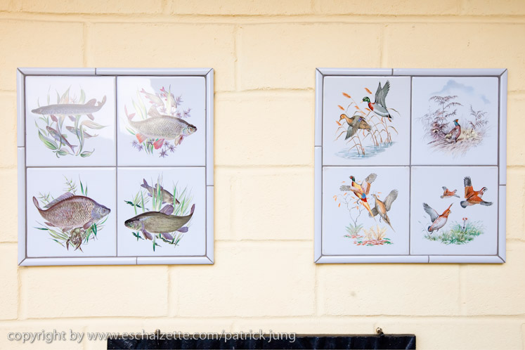 20091003_interesseverain_citeverte_30ans_100