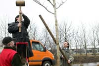 zwally_hinterscheid200603025