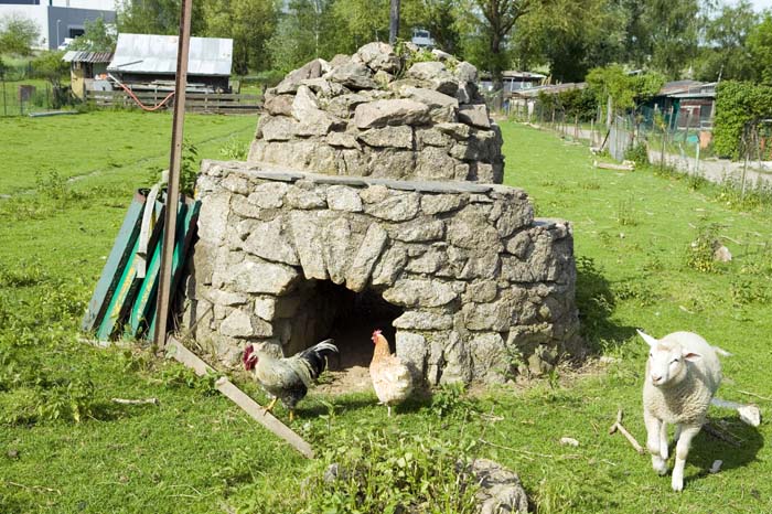 elsenbrich200505005