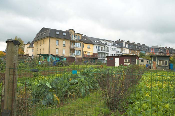 elsenbrich200510003