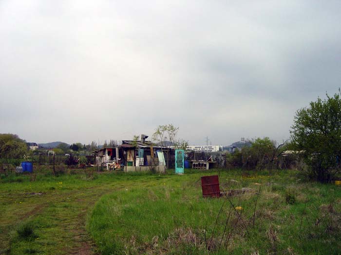 zaepertnonnewisen200504002