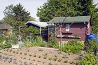 elsenbrich200505007