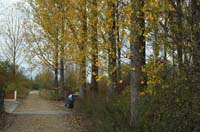 elsenbrich200510007