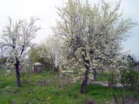 zaepertnonnewisen200504003