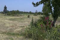 zaepertnonnewisen200506004