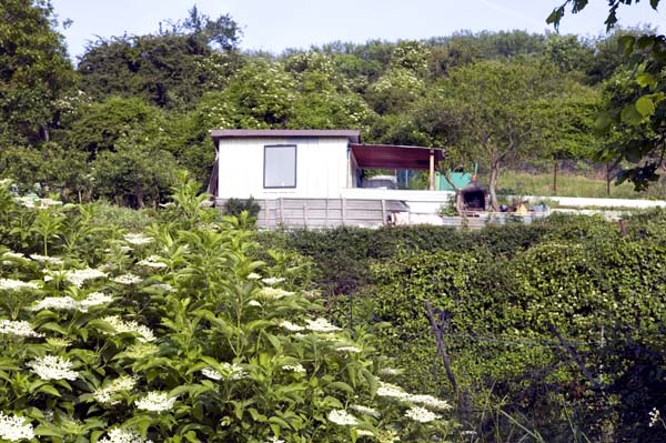 bowenacker200506007