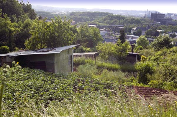 bowenacker200506011
