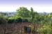 bowenacker200506009