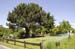 gleicht200505014