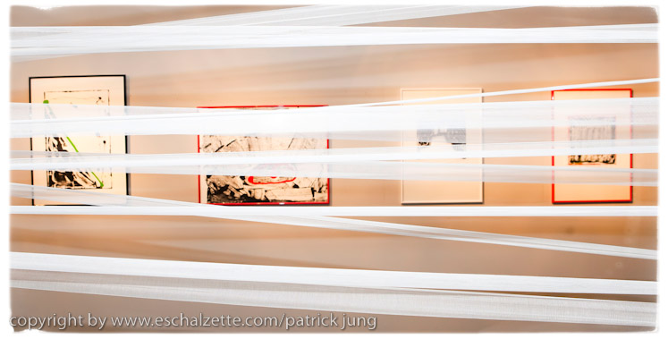 20091113_expo_zarabina_0010001