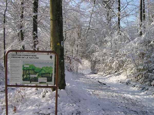 eschalzette-07