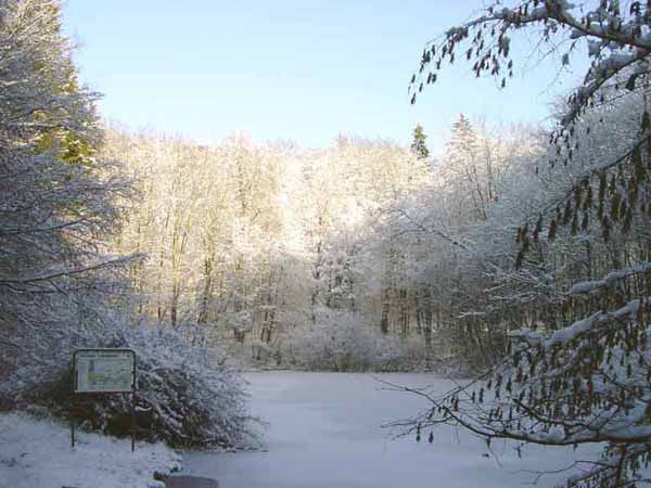 eschalzette-08