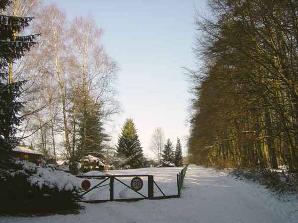 eschalzette-13