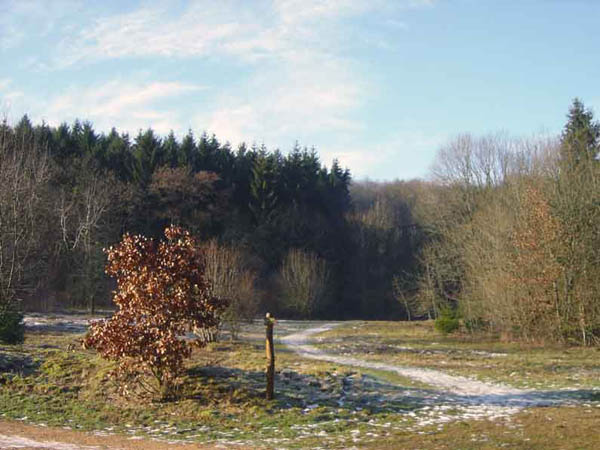 Picture-026