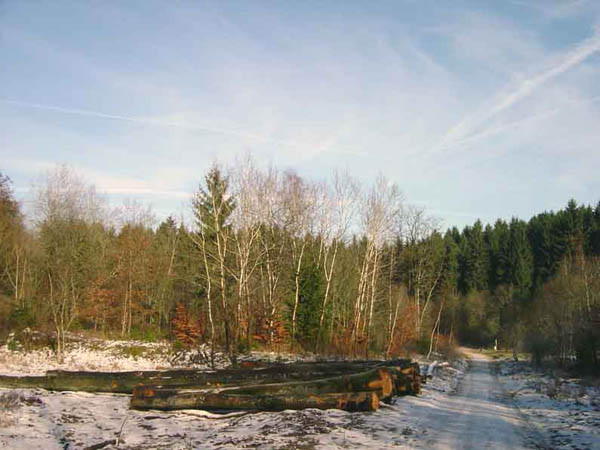 Picture-027