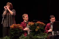 accordeon200606017