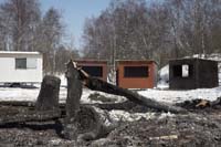 brandons200603043