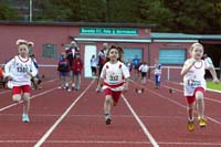 cafola12006050021