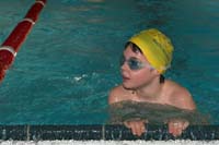 coupesynd2006020087