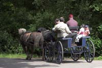 dagnatur200605002