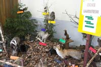 dagnatur200605048
