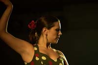 fiestaflamenca200605075