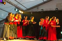 fiestaflamenca200605087