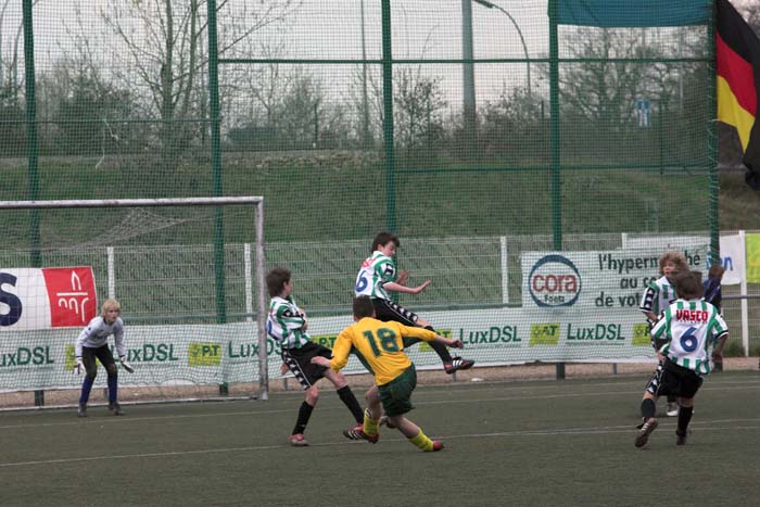 fola100_2006040208