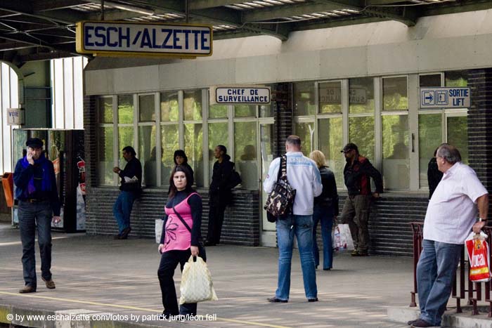 20080519eschgare013
