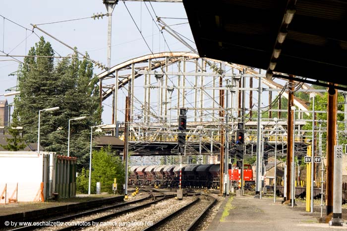 20080519eschgare014