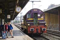 20080519eschgare012