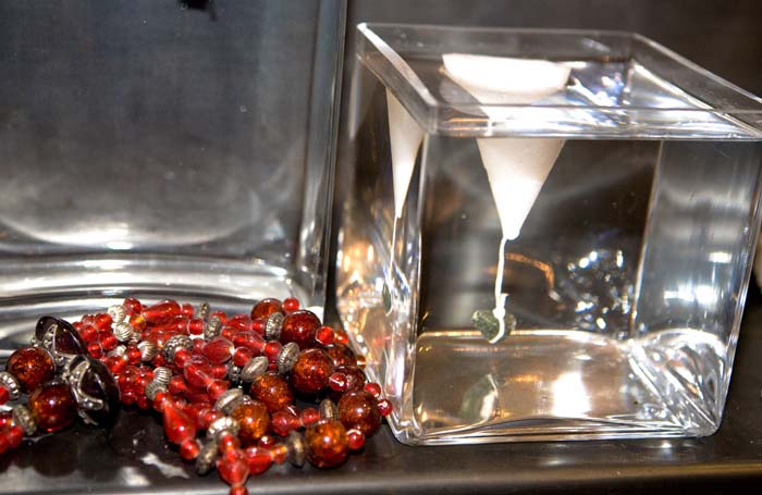 vernissagegrenadine200611045