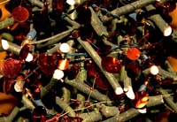 vernissagegrenadine200611014