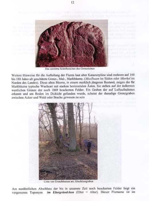 fouillesgleicht2005_6_012