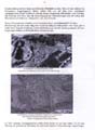 fouillesgleicht2005_6_013