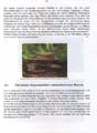 fouillesgleicht2005_6_014